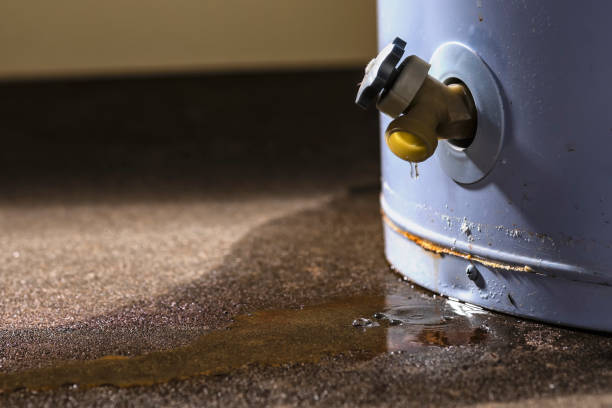Best Water damage restoration near me  in Green, OH