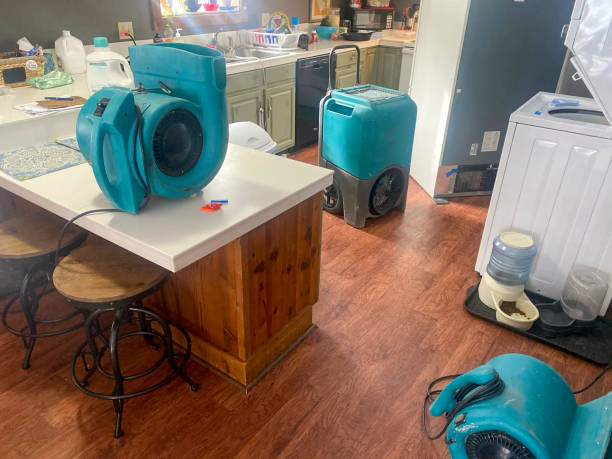 Best Ceiling water damage repair  in Green, OH