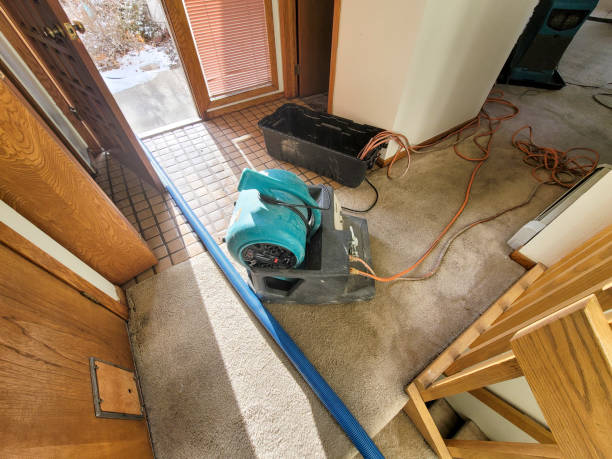Best Fire Damage Restoration  in Green, OH