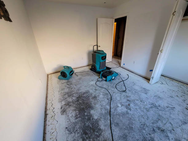 Best Commercial water damage restoration  in Green, OH