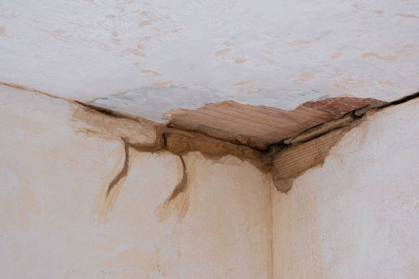 Best 24-hour water damage restoration  in Green, OH