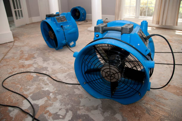 Best Water damage cleanup near me  in Green, OH