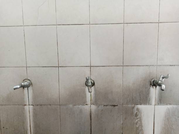 Best Water damage contractors near me  in Green, OH