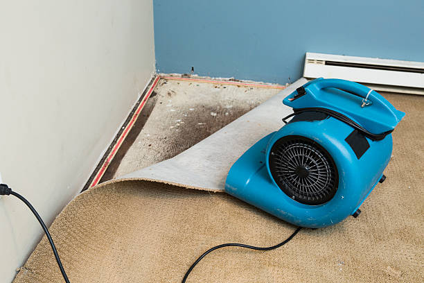 Best Sewage cleanup and water damage restoration  in Green, OH